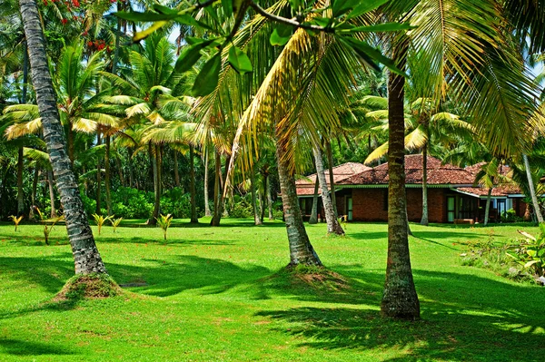 stock image Sunny tropical landscape