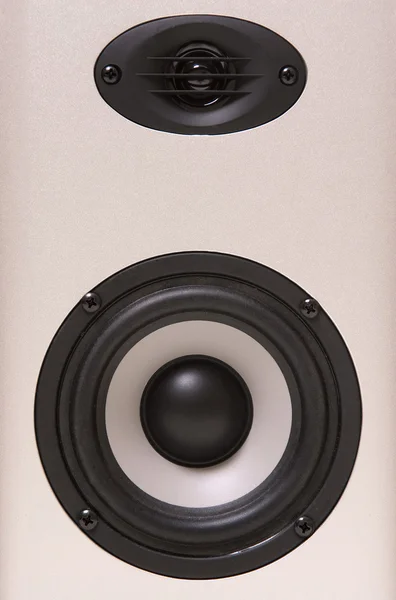 Speaker close-up — Stock Photo, Image