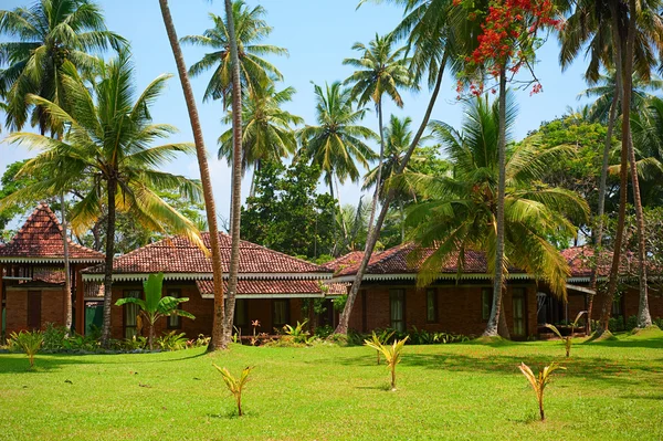 Stock image Tropical landscape