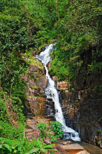 stock image Waterfall