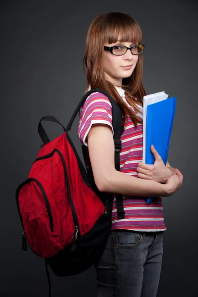 Красивая студентка с папкой — стоковое фото