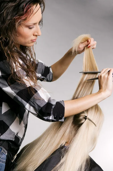Pro cabeleireiro trabalhando com o cliente — Fotografia de Stock