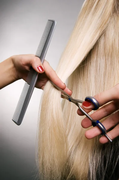 Professional hairdresser in the work — Stock Photo, Image