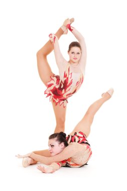 Portrait of two flexible beautiful gymnasts clipart
