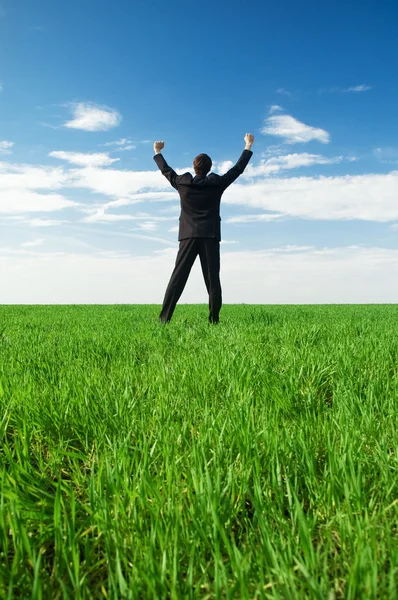 Empresário feliz em pé na grama verde — Fotografia de Stock