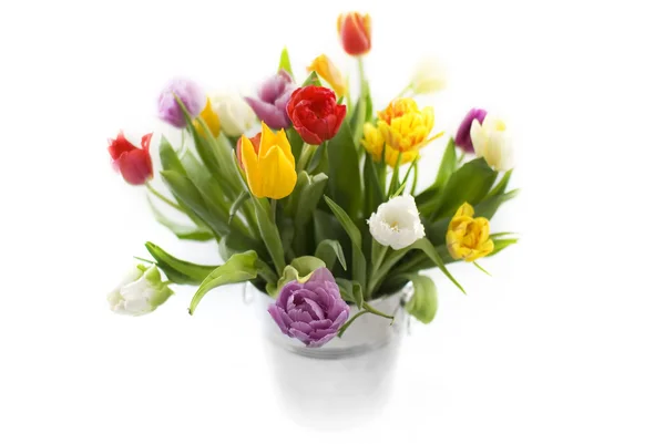 stock image Tulip bouquet