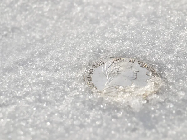 stock image Maria Theresia Thaler lying in snow and ice.