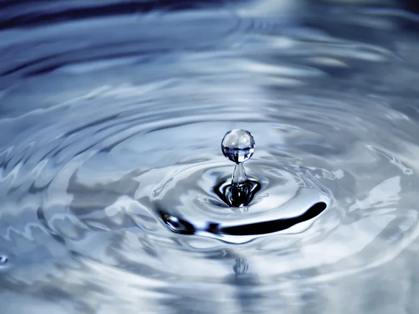 Drop of Water Stock Image
