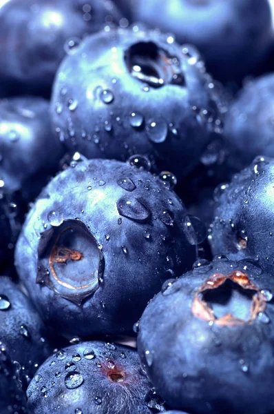 stock image Blueberries