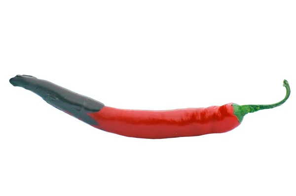 Röd peppar med cholcolate — Stockfoto