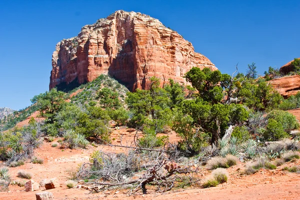 アリゾナ州セドナの赤い岩 — ストック写真