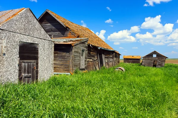 Старі будівлі ферми — стокове фото