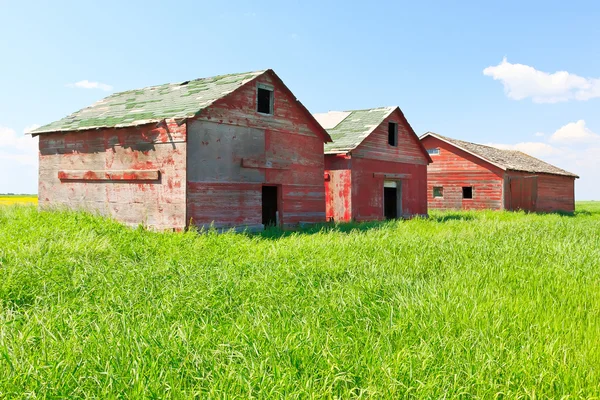 Antiguo edificio de granja — Foto de Stock