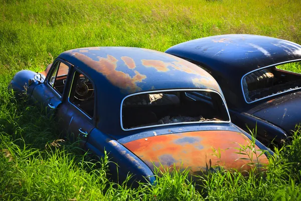 Rusty Car in the Tall Grass — Stock Photo, Image