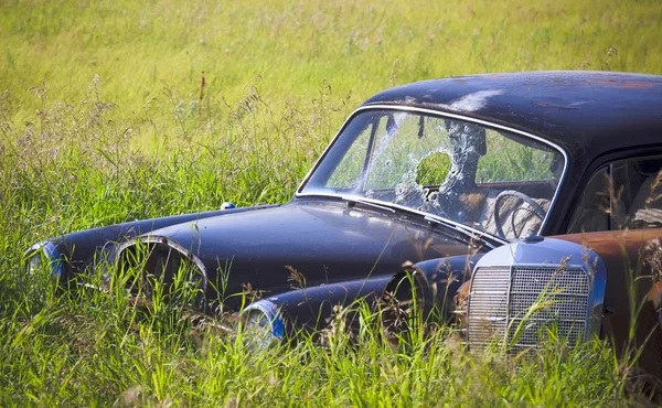 背の高い草でさびた車 — ストック写真