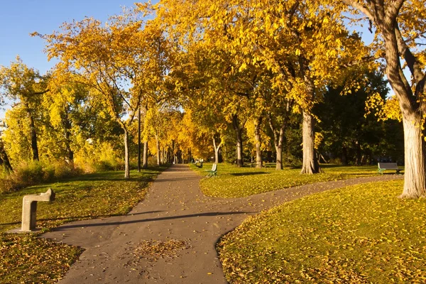 stock image Path in Autumn