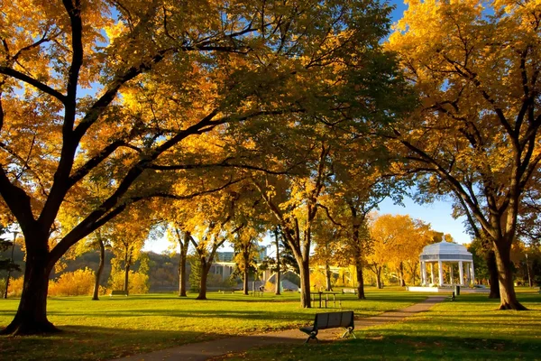 在公园的秋天颜色 — 图库照片