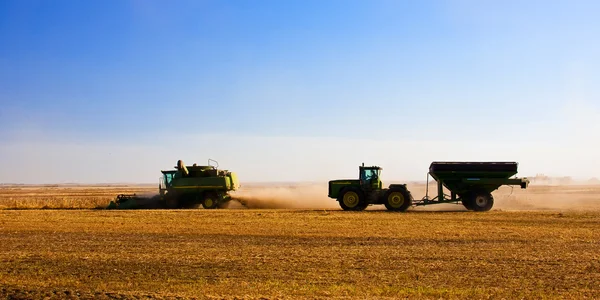 Val oogst op de prairies — Stockfoto