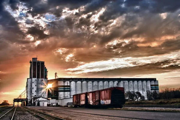 Grain terminal på sunrise — Stockfoto