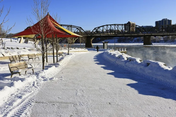 Mattina invernale lungo il fiume — Foto Stock