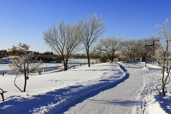 Paseo lateral en un día de invierno helado — Foto de Stock