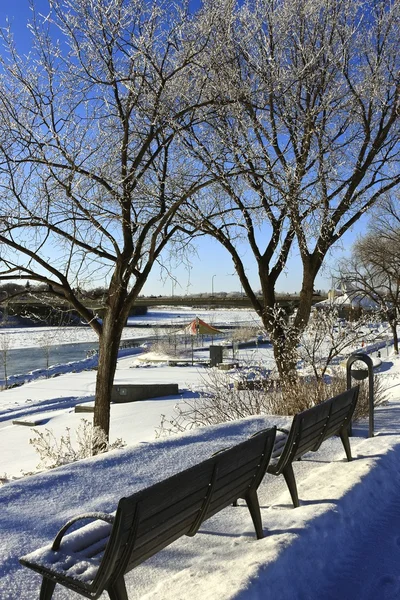 stock image Bench along the River in Winter