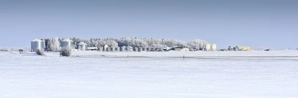 stock image Farmyard in Winter