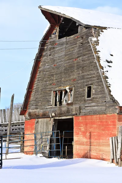 Stary stodoła w zimie — Zdjęcie stockowe