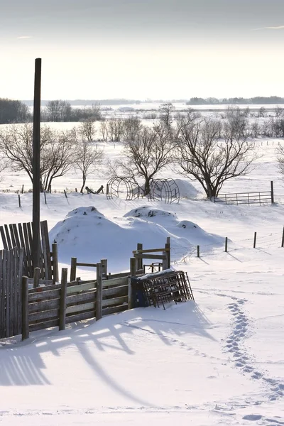 Frostiges Winterwunderland — Stockfoto