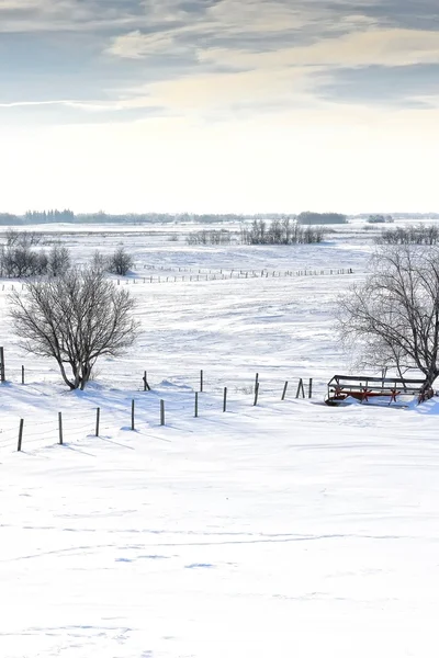 Frostigt vinterlandskap — Stockfoto