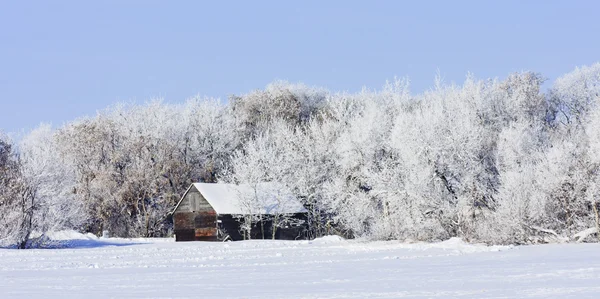 旧的农舍在冬季 — 图库照片