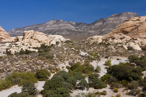 Witte rotsen bij red rock canyon — Stockfoto