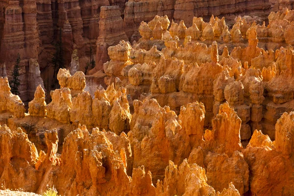 Günbatımı noktasında: bryce canyon — Stok fotoğraf
