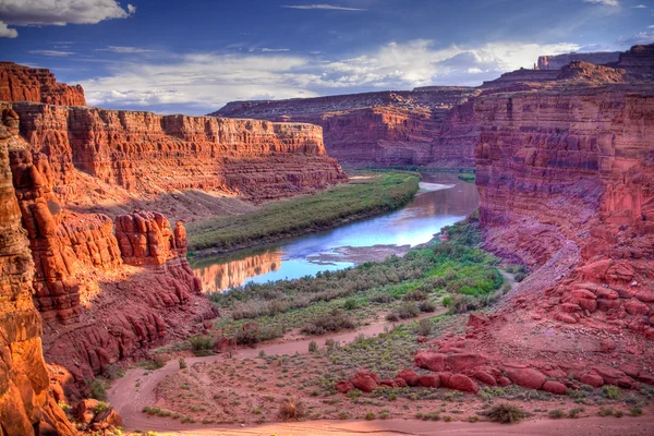 Rio Colorado no Parque Nacional de Canyonlands — Fotografia de Stock