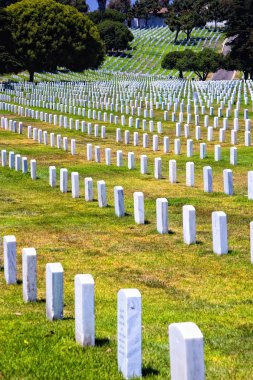Rows of headstones of fallen soldiers clipart