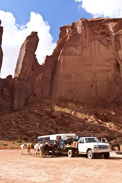 Stock image Horses at Monument Valley