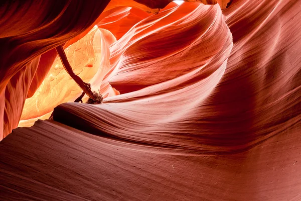Το διάσημο αντιλόπη canyon στην Αριζόνα, ΗΠΑ — Φωτογραφία Αρχείου