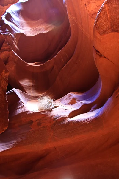 Üst antilop Kanyonu — Stok fotoğraf