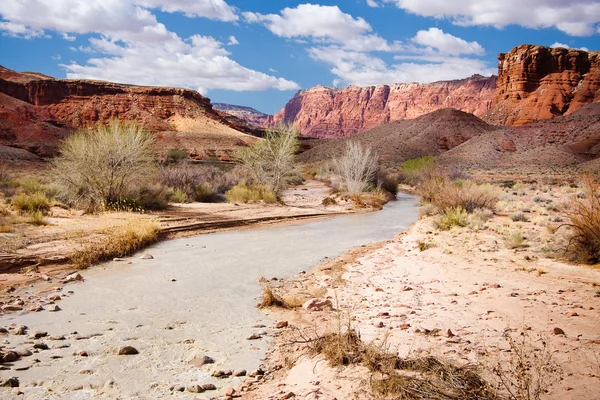 Paria River und vermillion Klippen in arizona — Stockfoto