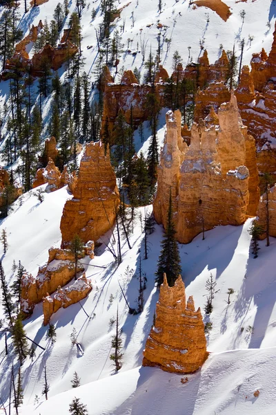 Zima v národního parku bryce canyon — Stock fotografie