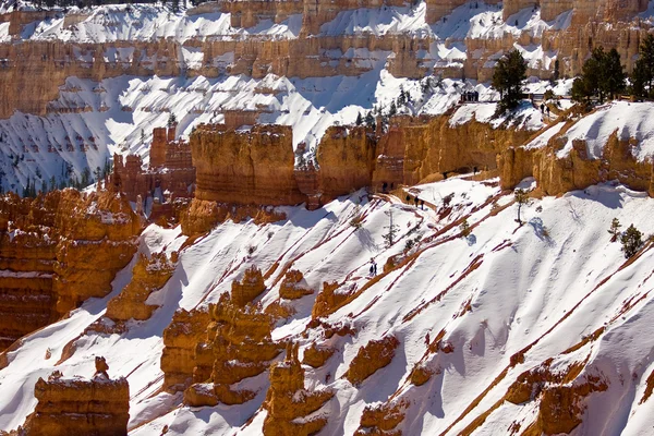 Inverno nel Parco Nazionale del Bryce Canyon — Foto Stock