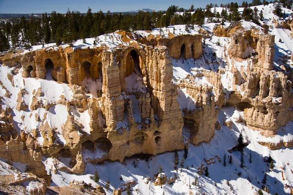 Winter in Bryce Canyon National Park — Stock Photo, Image