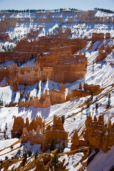Winter in Bryce Canyon National Park — Stockfoto