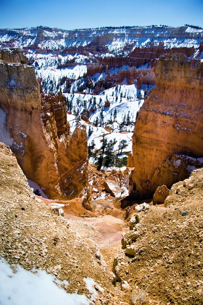 Zima v národního parku bryce canyon — Stock fotografie