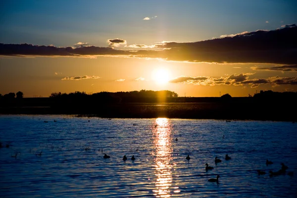 Pântano ao pôr do sol — Fotografia de Stock