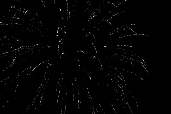 stock image Fourth of July Fireworks