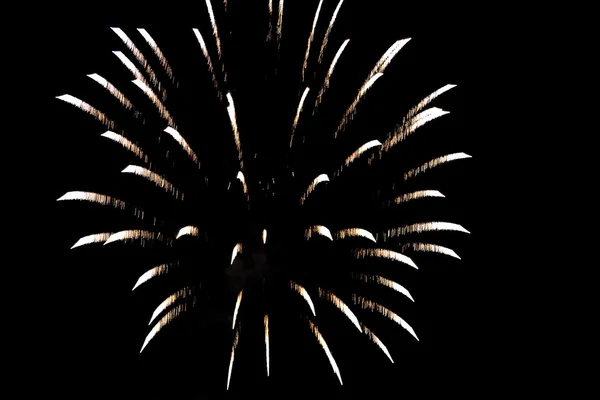 stock image Fourth of July Fireworks