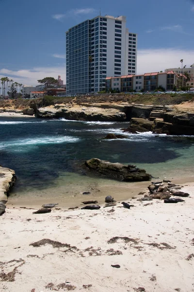 La jolla strandlinjen — Stockfoto