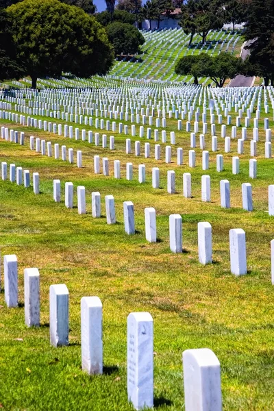Rows of headstones of fallen soldiers — Stock Photo, Image