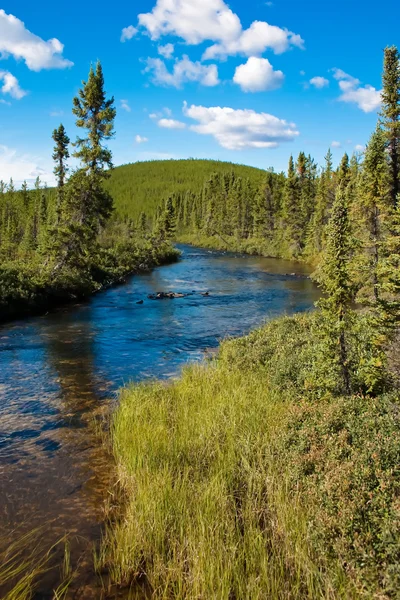 Észak-saskatchewan creek — Stock Fotó